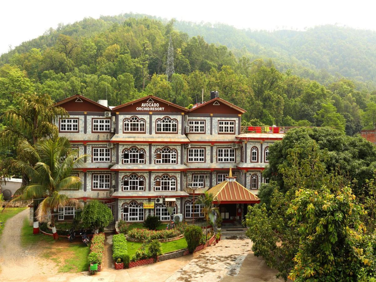 Avocado Orchid Resort Hetauda Dış mekan fotoğraf